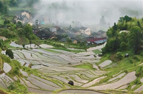 诗意田园