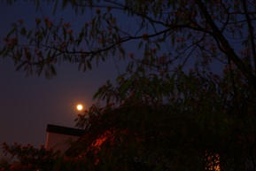 水乡的夜