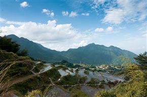 田园风光