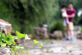 父女情