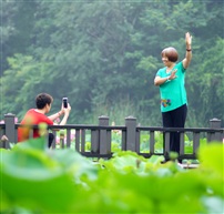 荷美人更美