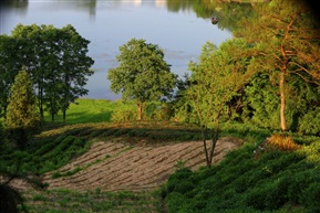 山里的风景