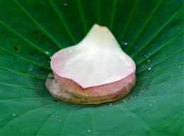 港湾
