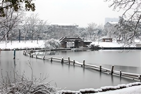 《雪染亭林》（1）