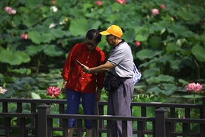 这朵真美