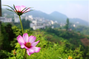 山里的风景