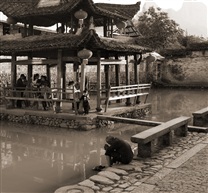村口-凉亭