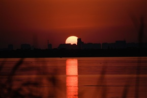 阳澄湖之落