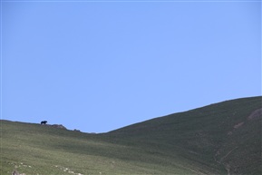 西北线02