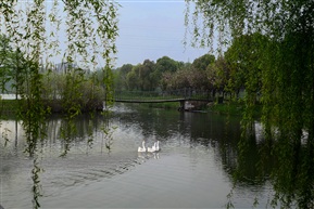 《风景如画》