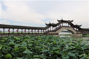 景