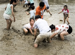 混水摸鱼