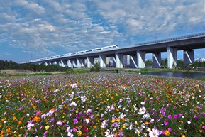 花海高铁