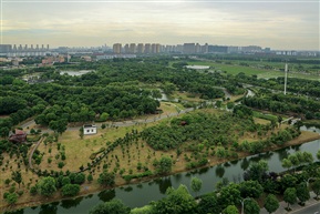 《陆家生态园.》