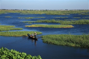 《湿地》（5）