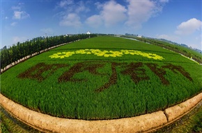 田园都市