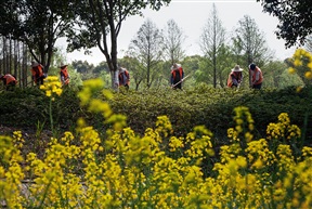 园林美容师之八