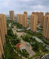 《陆家木瓜小区.》