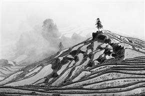 梯田小景