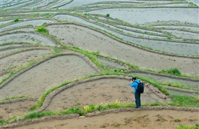 赏景上梯田