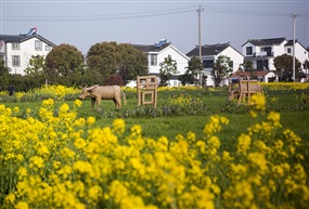 春满香村