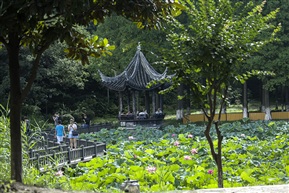 秀美亭林  （夏）