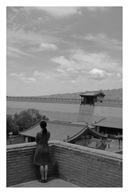 西北游029