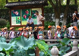 亭林莲池晨韵