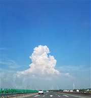 雄狮回首