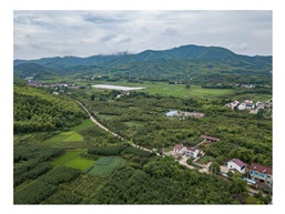 山路弯弯