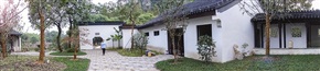 亭林园新景一