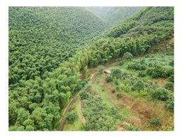 山路