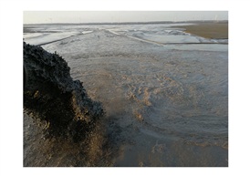 《沧海桑田》