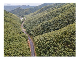 山路