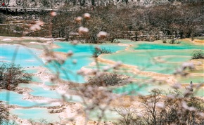 瑶池雪韵