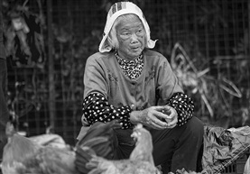 卖鸡婆