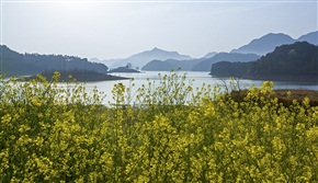 春满通济湖