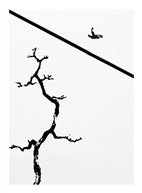 简