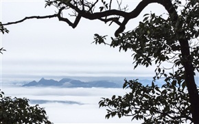 山在虚无飘渺间