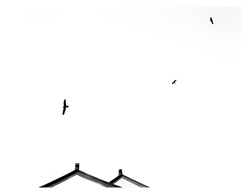 归来