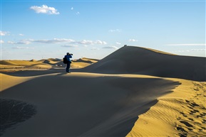 额济纳景观(1)