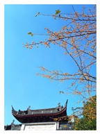 秋色