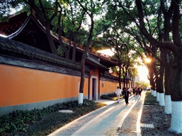 夕阳下的亭林园