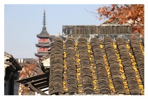 冬