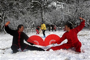 美的欣赏——雪中扇形