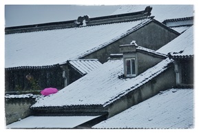 雪中情