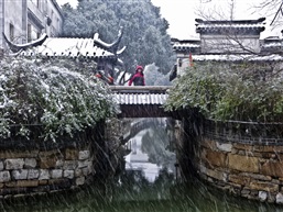 赏雪-2