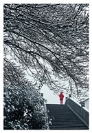 《雪韵》2