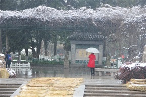 瑞雪纷飞