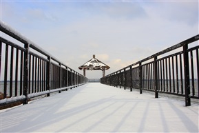 富力湾的雪景（3）